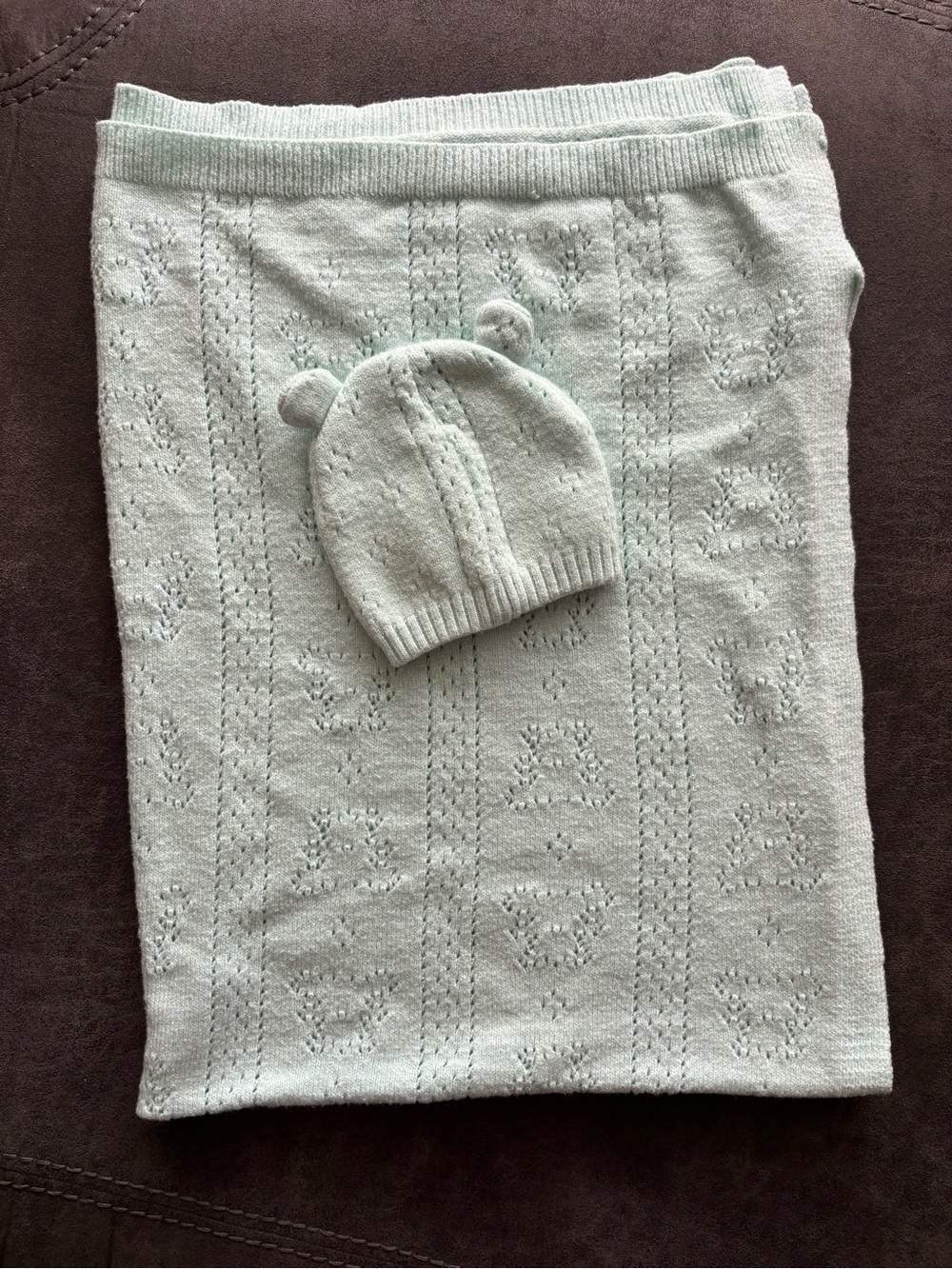 NWOT Bear Hat and Blanket